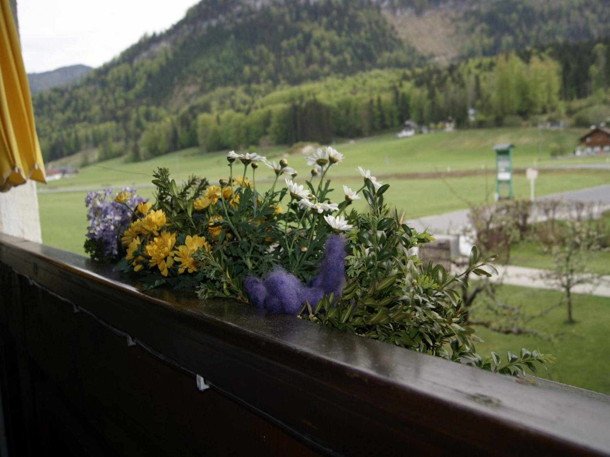Abis Ferienwohnung Salzkammergut Strobl Exterior foto